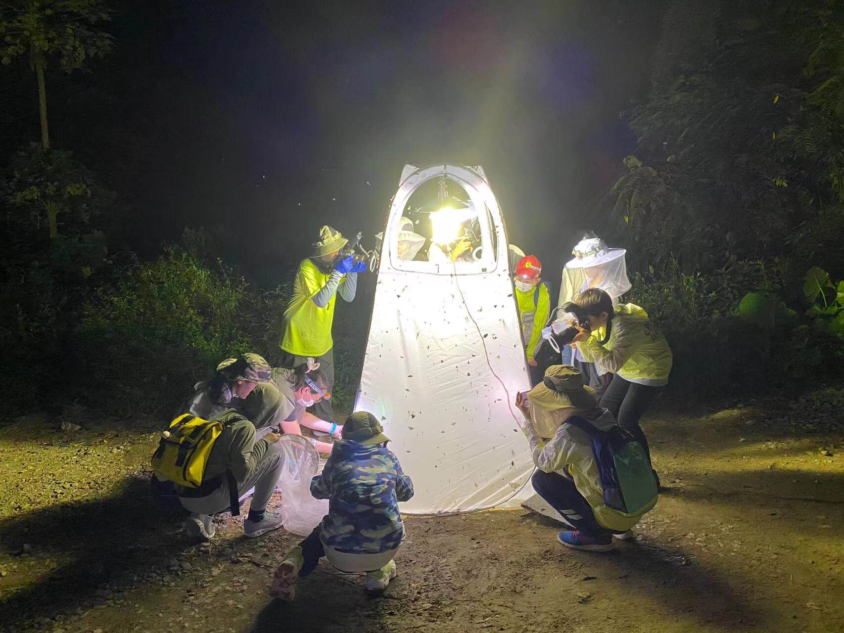 Tenda Perangkap Serangga denga - Outdoor Lighting Collections ulasan dan harga
