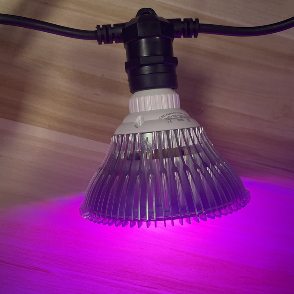 Kabel LED 10M Kelas Komersial  - Outdoor Lighting Bollards ulasan dan harga